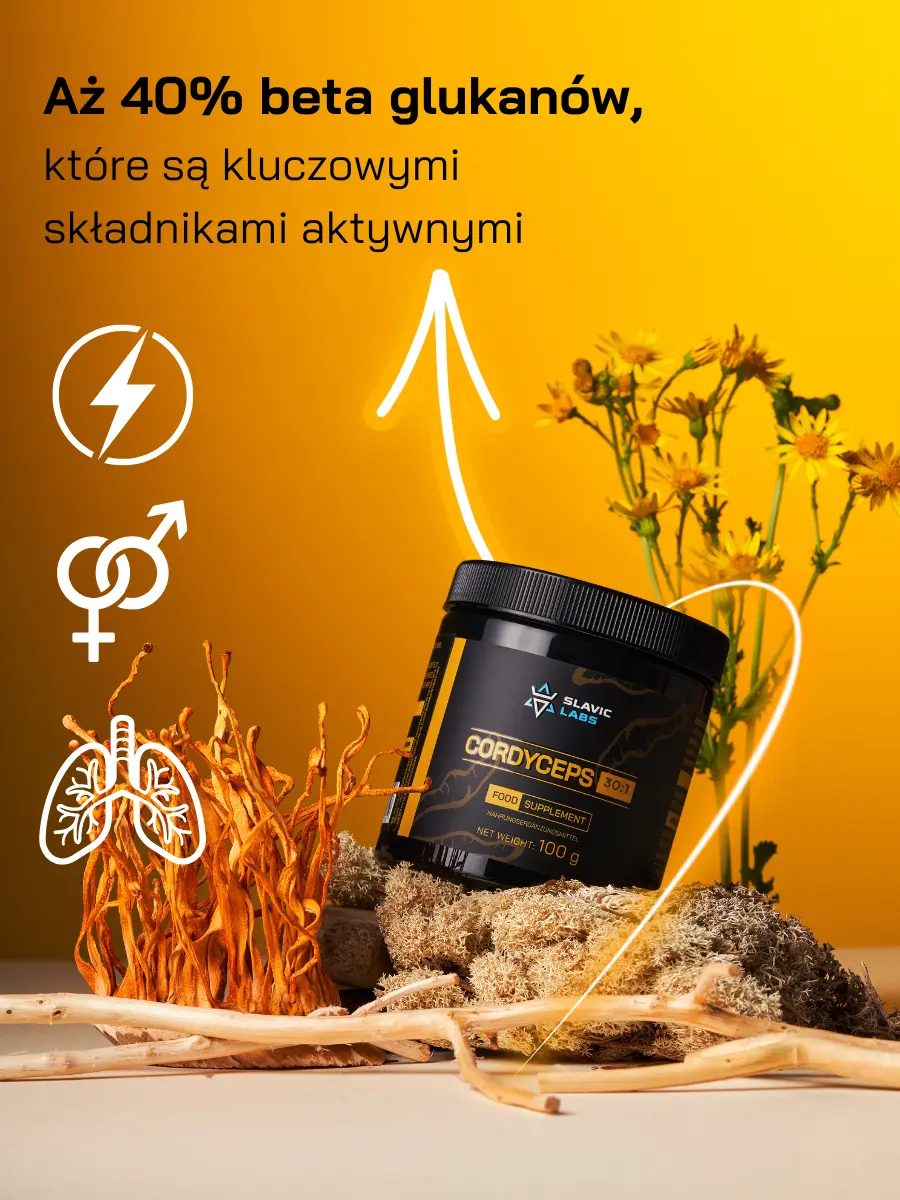 Cordyceps DER 30:1